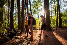 Recharge! A Day of Climate Learning in the Forest