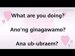 It is not always accurate. Lesson 4 English Tagalog Ilokano Translations Common Questions Youtube Learn English Words English Words Learn English