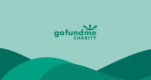 Gofundme charity also has features to create campaigns and track fundraising progress. Celebrity Fundraisers Crowdrise