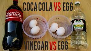 Coca Cola Vs Egg Vs Vinegar Awesome Eggs Fun Life Hacks And Tricks Youtube
