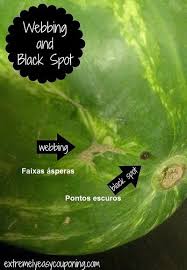 Giuseppe vi fa vedere come si sceglie una buona anguria dal suono. Com A Chegada De Dias Mais Quentes Tudo O Que Queremos Sao Alimentos Frescos Nao E Verdade Uma Fatia De Melancia Suculenta Fatias De Melancia Melancia Dicas