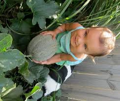 Check spelling or type a new query. Growing And Fertilizing Backyard Cantaloupe Nutrients For Life