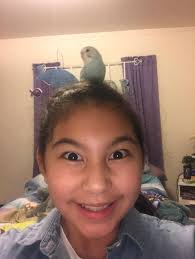 Birds for sale exotic birds buy birds online pet birds. Green Parakeet For Sale Live Pet Birds Petsmart