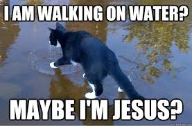 I Am Walking On Water Maybe I M Jesus Jesus Cat Quickmeme