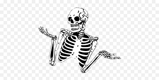 We did not find results for: Skeleton Aesthetic