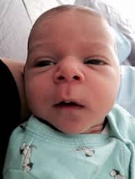 Boletín Semanal de la Comunidad Israelita Sefaradí