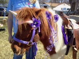 Pet travel to south africa pet passport regulations 2021. Unicorn Themed Pony Party With Chico One Of Our Pony Party Ponies Isn T He Just Darling Pony Rides Zoo Animals Pony Party
