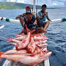 Jual fillet ikan kuniran, terisi, trisi, kurisi, baso ikan dengan harga rp33.000 dari toko online ikan murah segar, kota bandung. Ruby Snapper Spotmancing Com