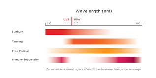 Imperfect Protection Ewgs 2019 Guide To Sunscreens