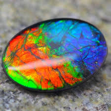 18x13mm Multi Color Canadian Ammolite Ammonite Gems Stone Ammolite Gems And Minerals