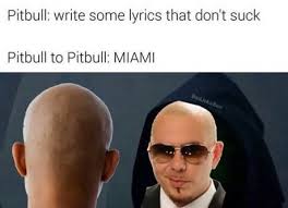 Mr Worldwide Stupid Jokes Funny Tweets Best Funny Images