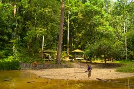 Taman negara bukit lambir) is a national park in miri division, sarawak, malaysia, on the island of borneo. Lambir Hills National Park How We Got Lost In The Jungle