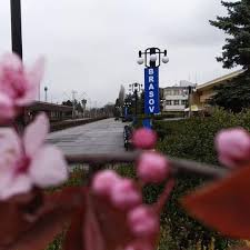 Programul cu publicul pentru registratura generală și registraturile. Cfr Calatori Brasov Publications Facebook