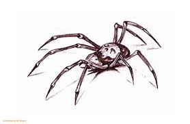 Maybe you would like to learn more about one of these? Tatto Wallpapers Spider Tattoos Designs