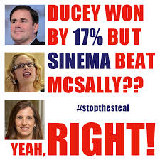 Image result for arizona stolen votes memes
