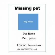 Hope you will like these free missing cat poster templates. Missing Cat Posters Lost Pet Word Excel Templates