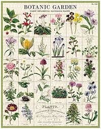 Vintage puzzles — 500 pcs. Compare Prices For Cavallini Co Across All Amazon European Stores