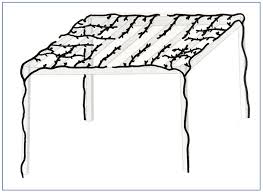 Image result for pruning grapes on a pergola