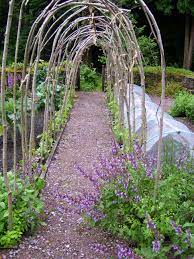 Hazel Arch Over Path Ideal For Sweet Peas Runner Beans Or Even Small Varieties Of Squash Space Saving And Very Pi Pea Trellis Trellis Plants Garden Arches