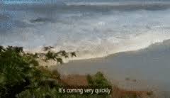 The 2004 indian ocean earthquake was an undersea megathrust earthquake that occurred at 00:58:53 utc on sunday, 26 december 2004, with an the resulting tsunami was given various names, including the 2004 indian ocean tsunami, south asian tsunami, indonesian tsunami, the christmas. Best Indian Ocean Tsunami Gifs Gfycat