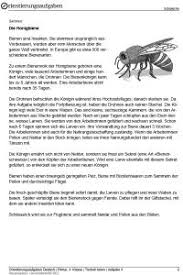 Textverständnis lesetexte 4 klasse zum ausdrucken : Unterrichtsmaterialien Zebis