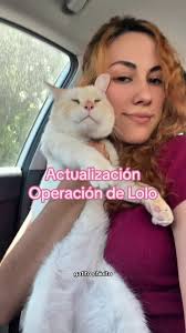 Goat Eyes: Why Are They Shaped Like That?