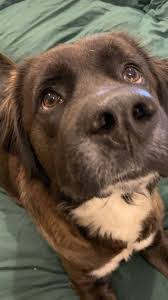 Chasity Gates's Instagram, Twitter & Facebook