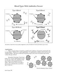 Pin On Forensic Science Lesson Plans From The Lab