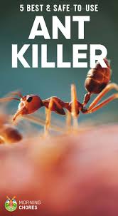 The best ant killers are effective and easy to use. 5 Best Outdoor Indoor Ant Killers That Are Safe To Use
