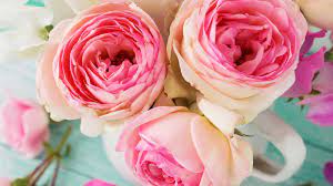 صور بنات كيوت 2018 احلي خلفيات بنات للفيس بوك girly m girly pictures cute kawaii girl. Ø®Ù„ÙÙŠØ§Øª Ø¬ÙˆØ§Ù„ Ù„Ù„Ø¨Ù†Ø§Øª Ø§Ø¬Ù…Ù„ ØµÙˆØ±Ø© Ø±Ø§Ø¦Ø¹Ù‡ Ù„Ù„Ù‡Ø§ØªÙ Ù„Ù„Ø¨Ù†Øª ÙƒÙ„Ø§Ù… Ù†Ø³ÙˆØ§Ù†