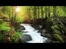 Música relaxante para concentração, ideal para estudar, ler e trabalhar com vídeo hd de cachoeira e floresta para ajudar a se concentrar e acalmar a mente. Musica Relaxante Para Estudar E Trabalhar Com Ondas Cerebrais Musica Relaxante Ondas Cerebrais Imagens Do Google