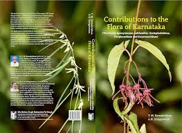 Image result for Apocynaceae subfamily Periplocoideae