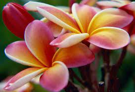 Pin On Pretty