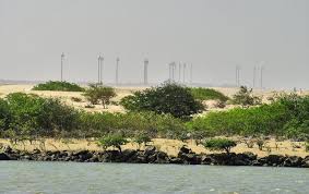 Brazil S Eletrobras Consolidates 195 Mw Of Wind In One Subsidiary