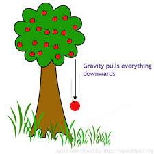 Life on earth needs the sun's light and warmth to survive. Forces And Motion Forces For Kids Physical Processes For Kids Gravity Science Gravity Lessons Gravity Activities