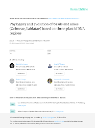 Image result for Syncolostemon flabellifolius