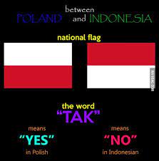La bandiera indonesiana era basata sulla bandiera dell'impero majapahit del xiii secolo. Indonesia Poland Yin And Yang Funny Memes Wtf Funny Fun Facts
