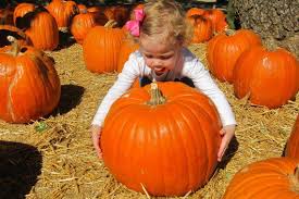 Halloween Events For Kids That Aren T So Scary