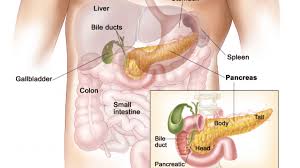 We did not find results for: Cholangiocarcinoma Klatskin S Tumors Of The Bile Duct System Cancerconnect