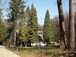 Check spelling or type a new query. Lengyel Annafurdo Magyarorszag Awilime Magazin