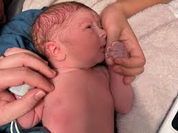 Hearth & Haven Home Birth...