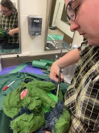 CRHS' theater department to host State Drama Competition December 6th, 7th 