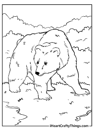 Vector flat illustration in linear style on white background. Bear Coloring Pages Updated 2021