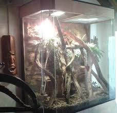 Enclosure Emerald Tree Monitor Dierenpark De Oliemeulen Gallery Pet Enclosure Reptile Enclosure Monitor Lizard