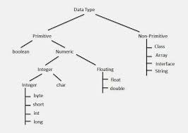 data types and naming conventions in java the crazy programmer