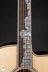 Image result for Isoglossa gregorii