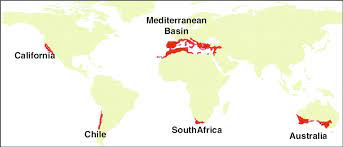 We did not find results for: The Mediterranean Climate Regions Of The World Adapted From Aschmann Download Scientific Diagram