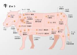 日本燒肉 豬肉牛肉各部位翻譯 牛肉 部位 牛 部位 牛