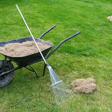 The lawn won't look pretty at first. Dethatching Your Lawn Cardinal Lawns