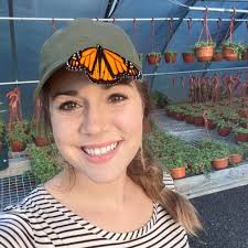 Cadyville Dollar General Store Closure